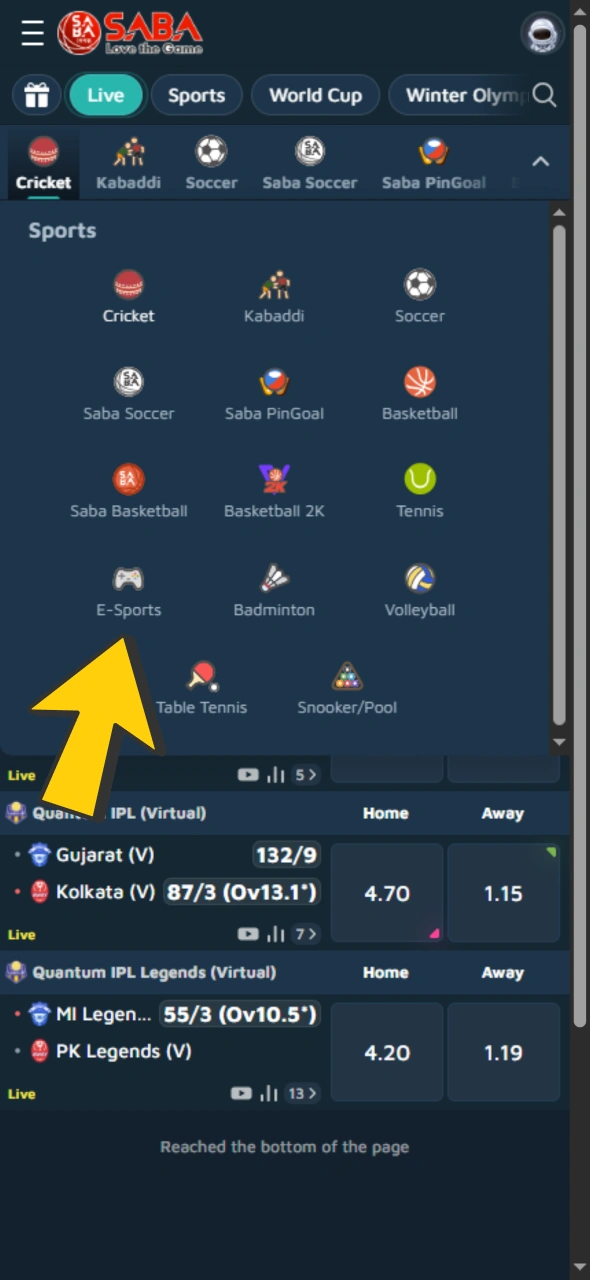 Go to Babu88 sports to find esports section.