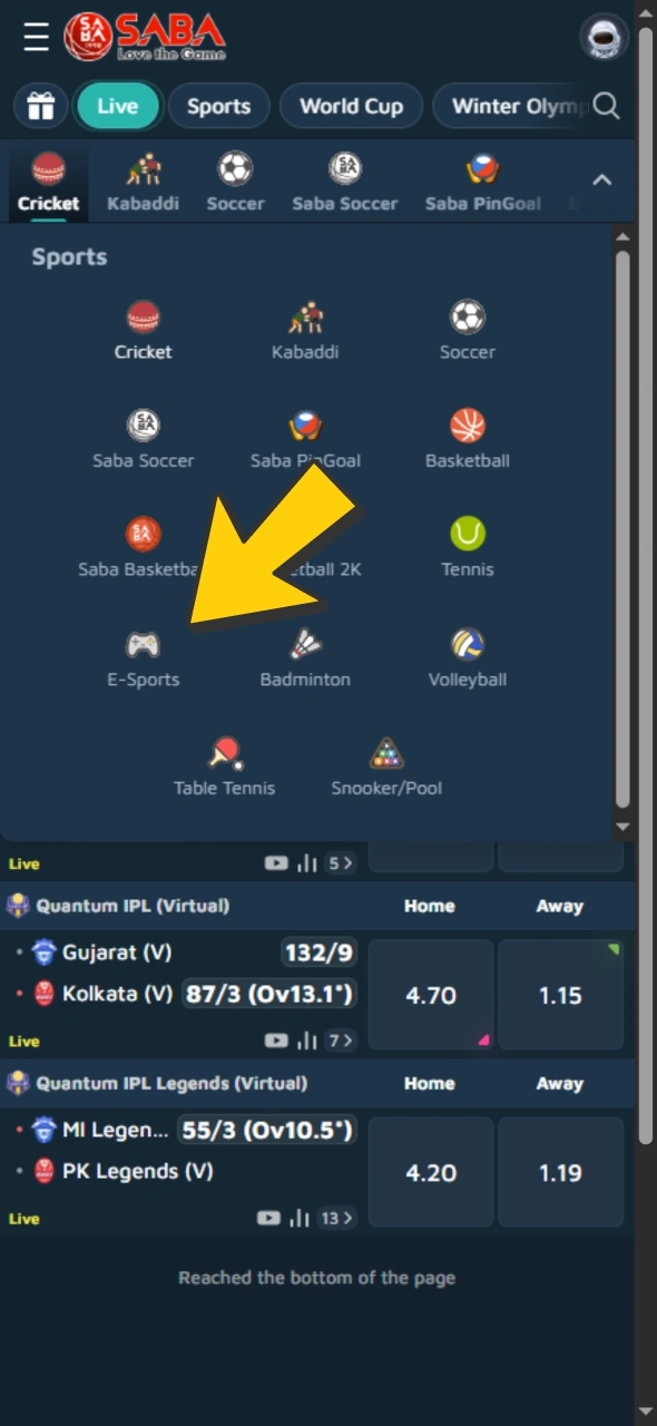 Go to Babu88 sportsbook and find esports section.