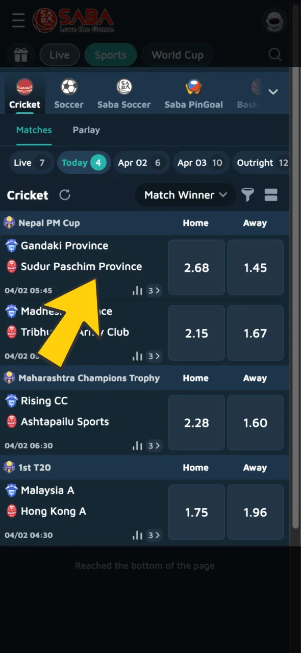 Choose a league and match from a wide selection of domestic and international cricket.